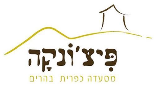 פיצ'ונקה לוגו